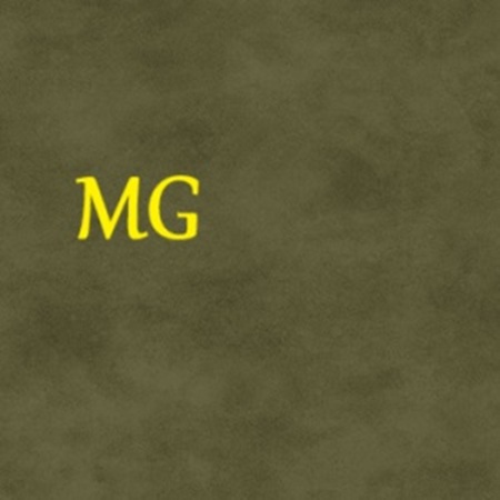 F-MS MAS513-G27